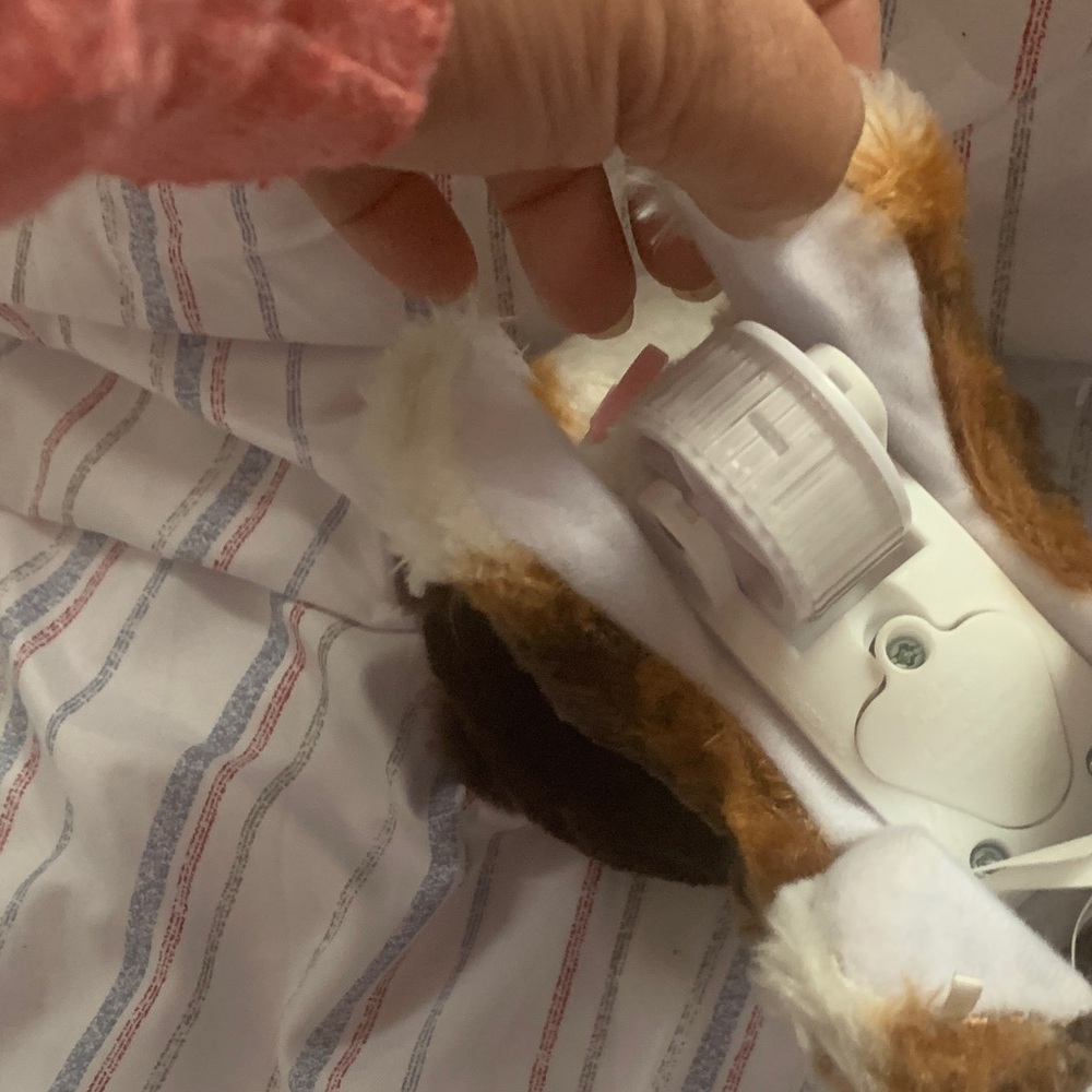 Adorable Brown and White Plush Puppy Toy - Picture 3 of 8